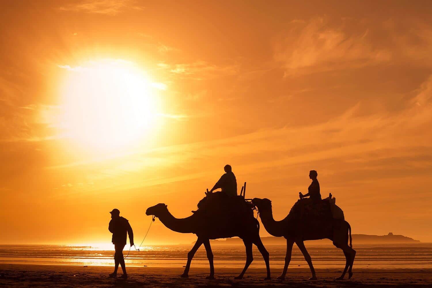 shutterstock_223454980